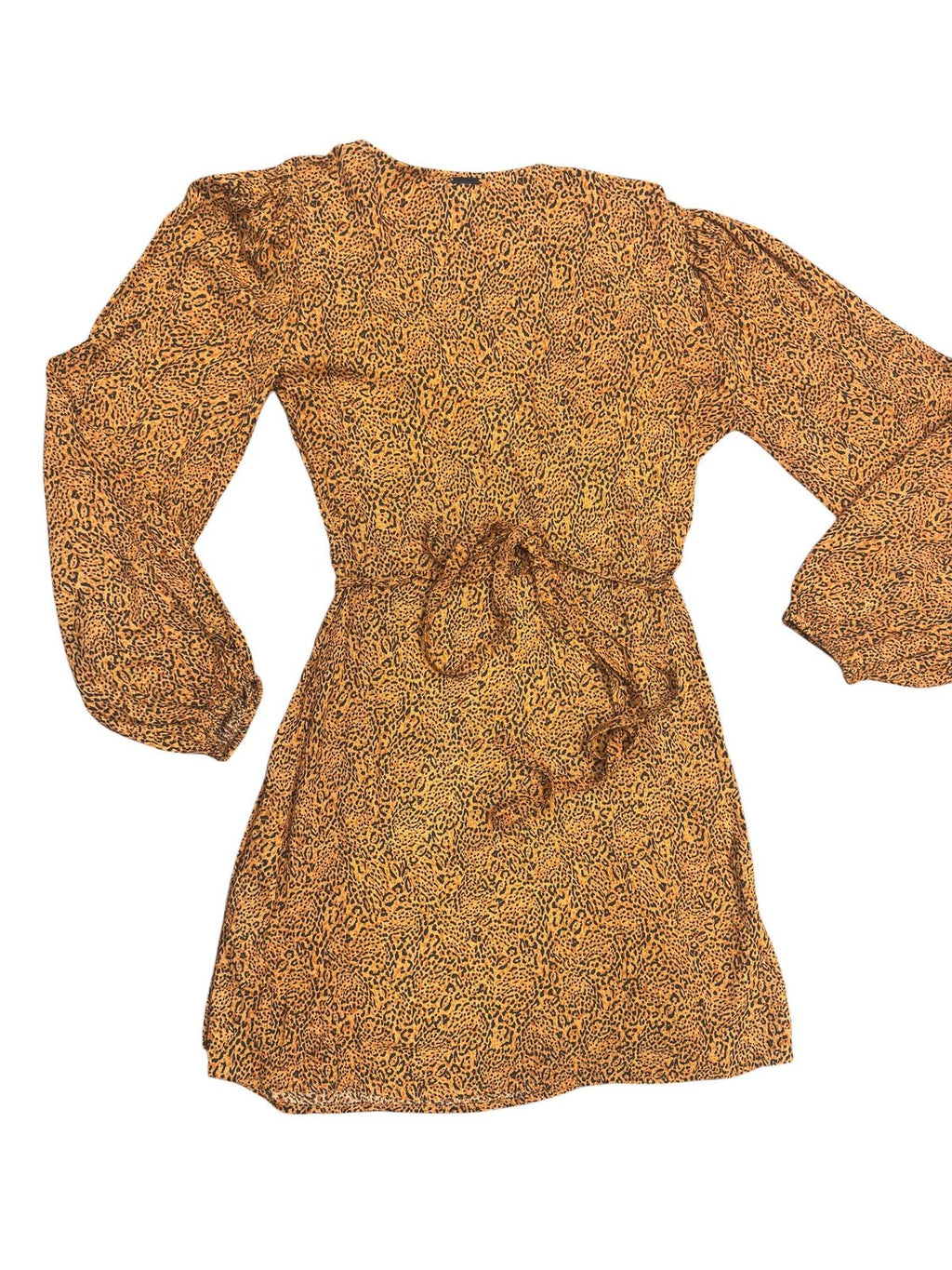 Leopard Print Chiffon Two-Piece Set Top and Pants