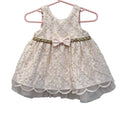 Couture Princess Embroidered Tulle Baby Dress Blush Pink