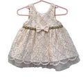 Couture Princess Embroidered Tulle Baby Dress Blush Pink