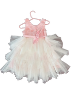 Couture Princess Pink Floral Lace Tulle Party Dress 2T - back