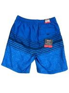 Kirkland Signature Men's Swim Short Striped Blue - back