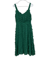 Eva Franco 3D Floral Applique A-Line Midi Dress Green - front