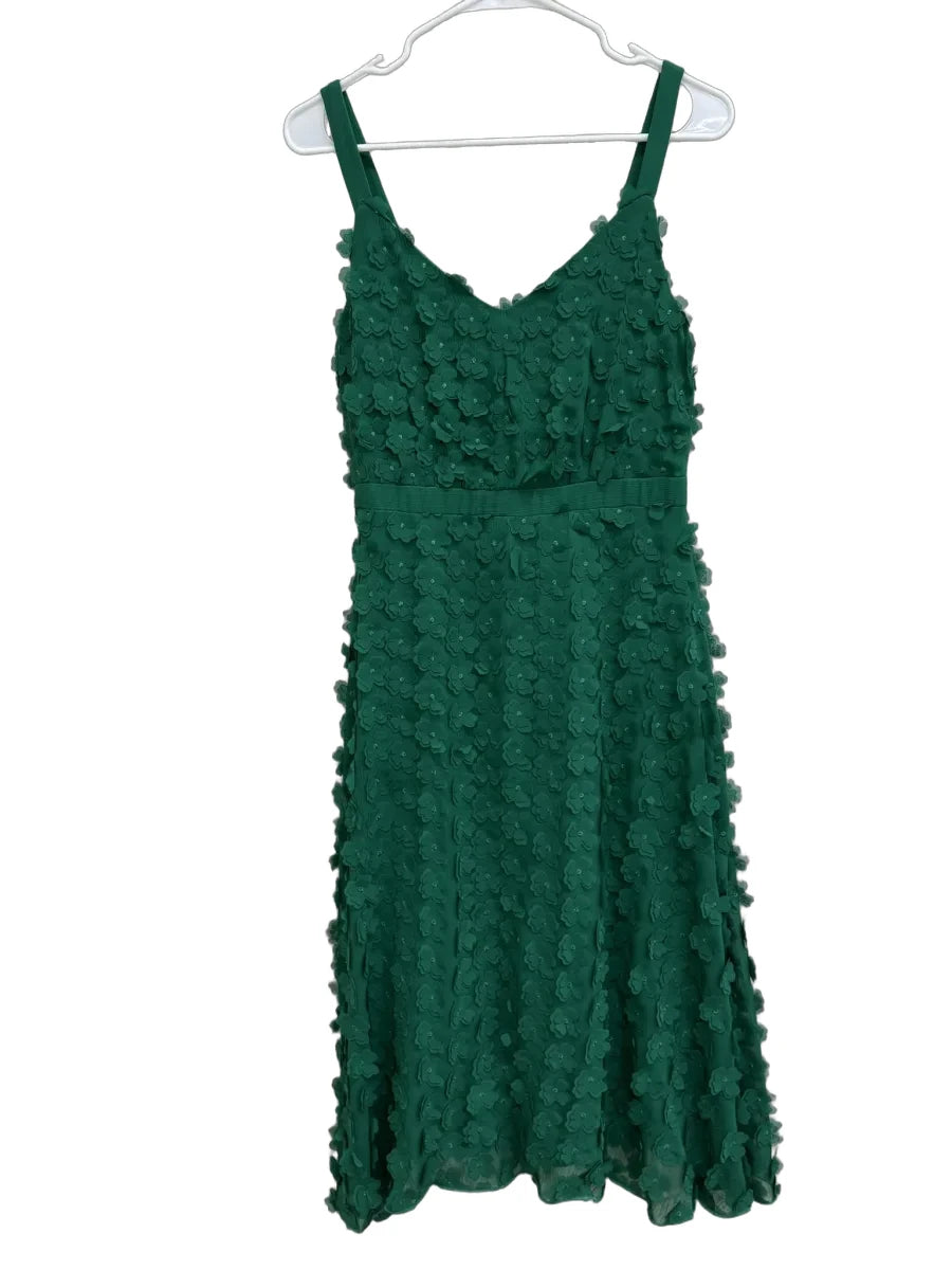 Eva Franco 3D Floral Applique A-Line Midi Dress Green - front