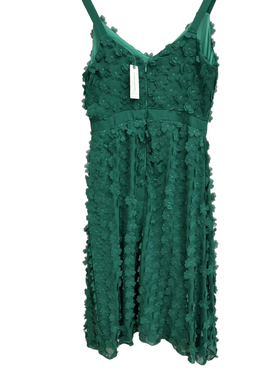 Eva Franco 3D Floral Applique A-Line Midi Dress Green - back